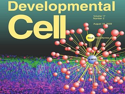 Developmental Cell - Huwe1 